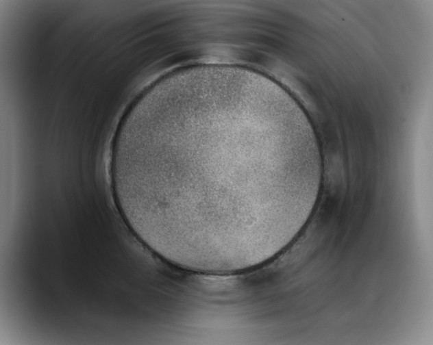 X0000090440856200707131218