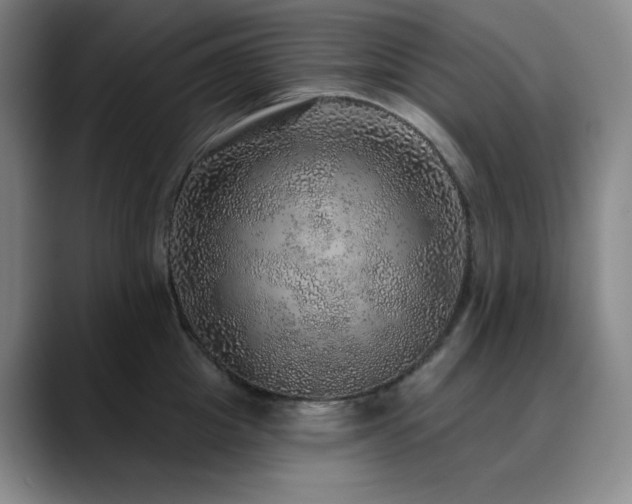 X0000090440857200707131218