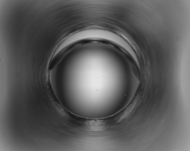 X0000090440858200707131218