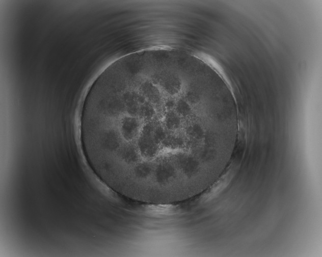 X0000090440859200707131218