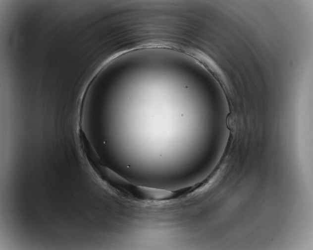 X0000090440860200707131218