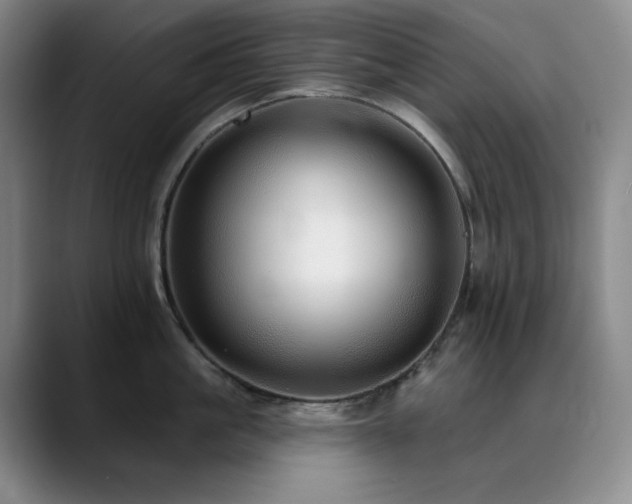 X0000090440861200707131218