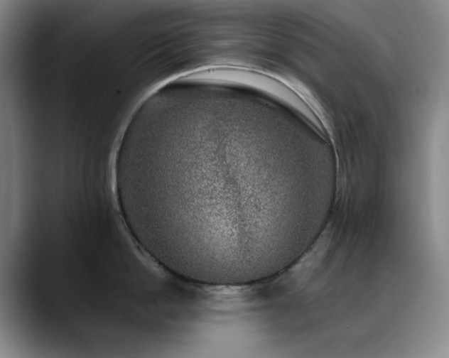 X0000090440862200707131218