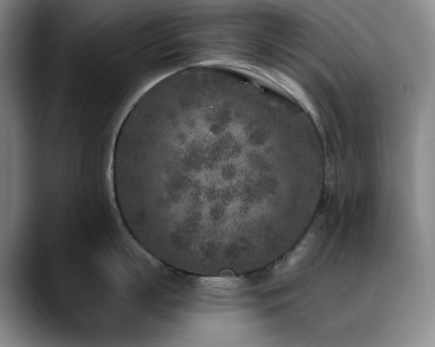 X0000090440863200707131218