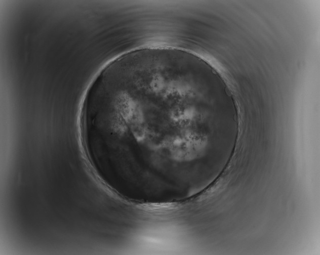 X0000090440864200707131218