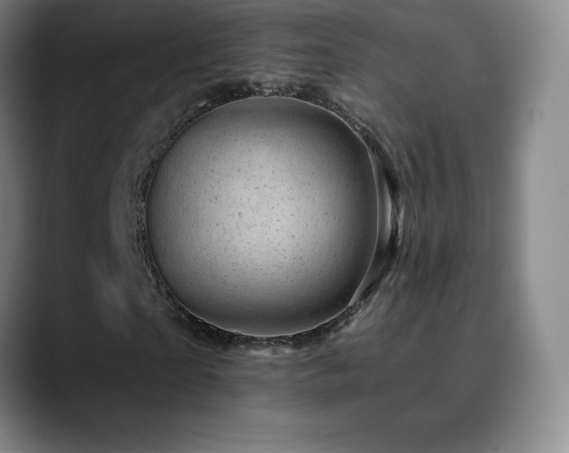 X0000090440865200707131218