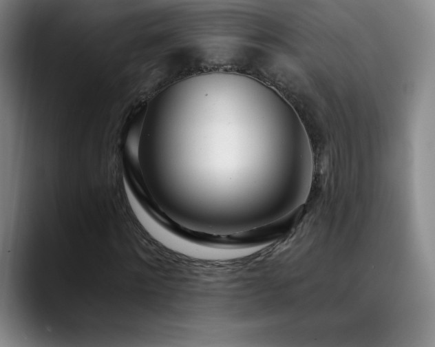 X0000090440868200707131218