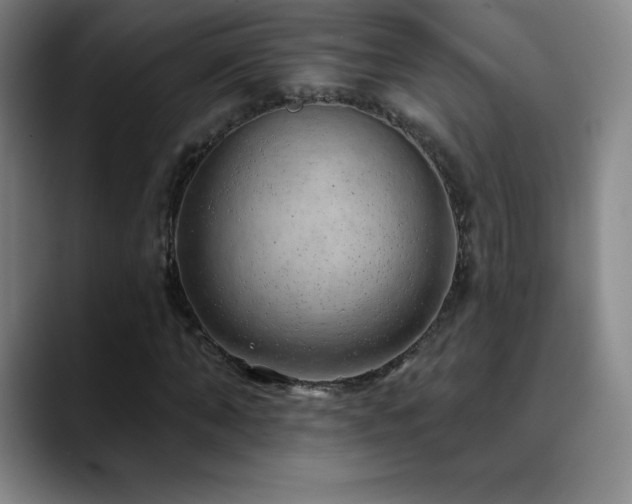 X0000090440870200707131218