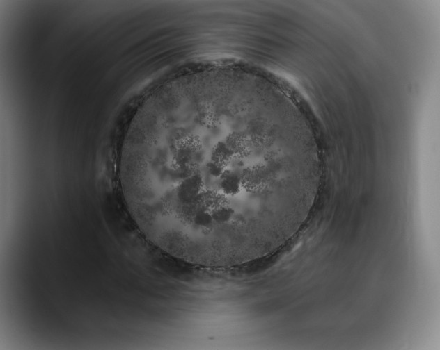 X0000090440871200707131218