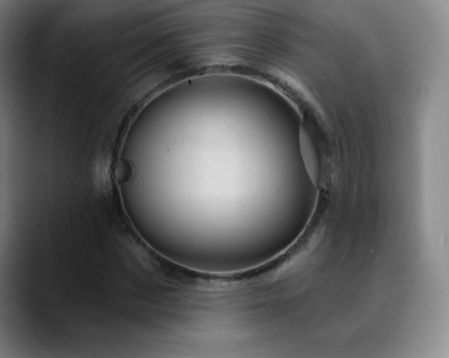 X0000090440873200707131218