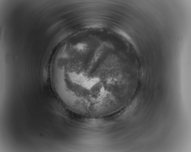 X0000090440874200707131218