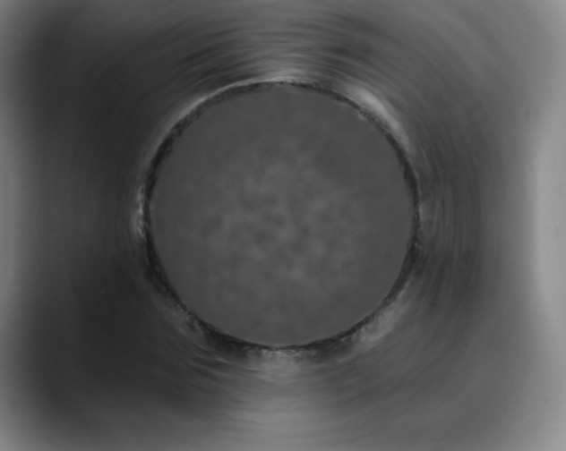 X0000090440875200707131218