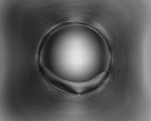 X0000090440876200707131218