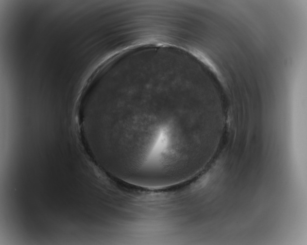 X0000090440877200707131218