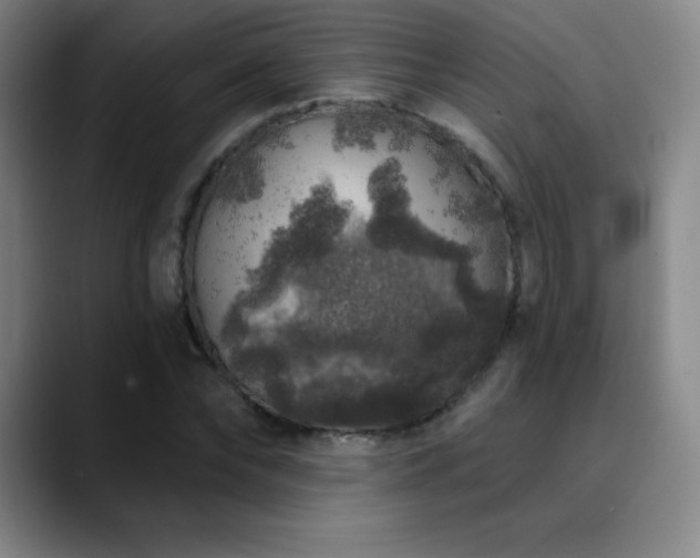 X0000090440878200707131218