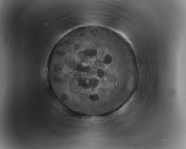 X0000090440879200707131218