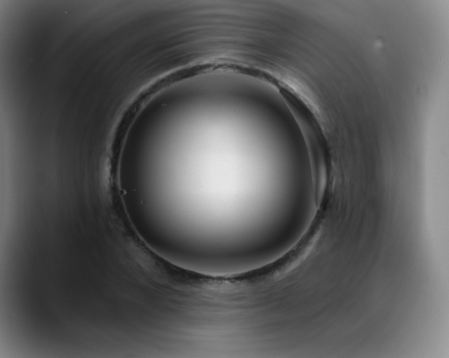 X0000090440880200707131217