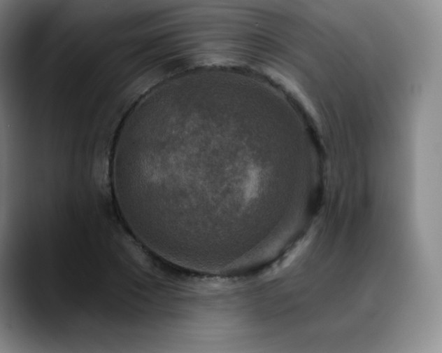 X0000090440881200707131217