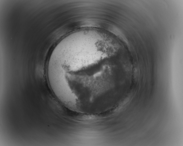 X0000090440882200707131217