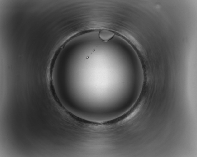 X0000090440885200707131217