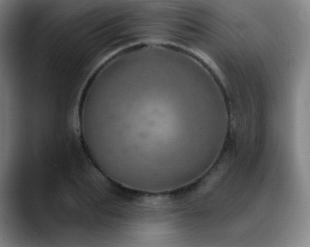 X0000090440887200707131217