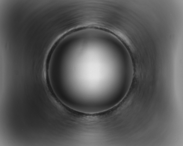 X0000090440888200707131217