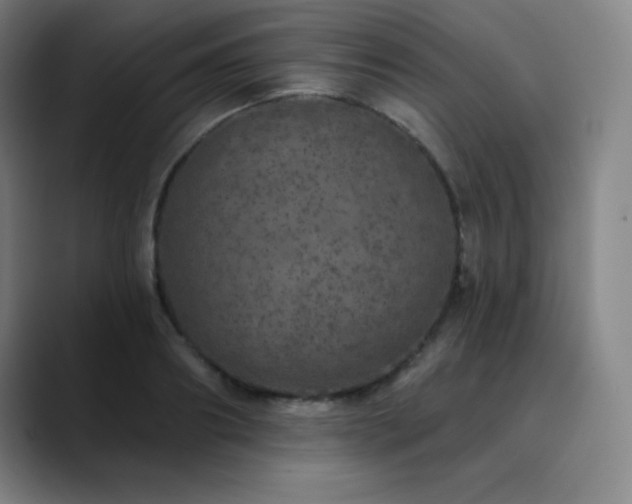X0000090440890200707131217