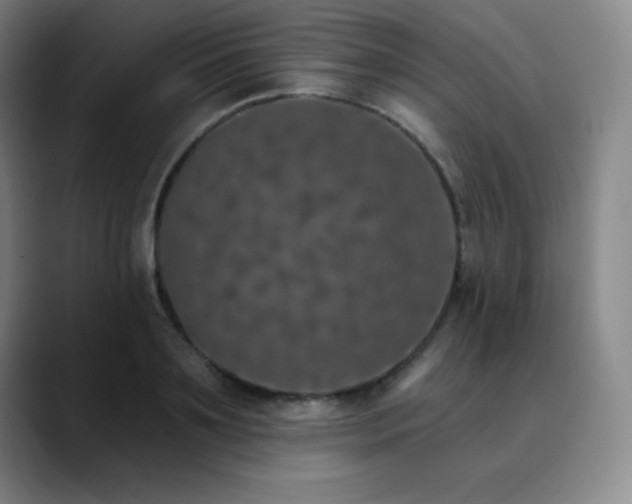 X0000090440891200707131217