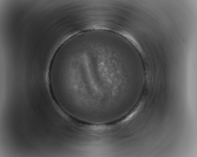 X0000090440893200707131217