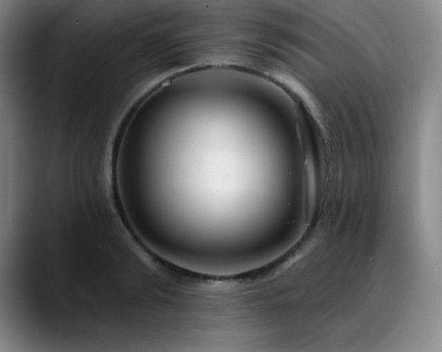 X0000090440894200707131217