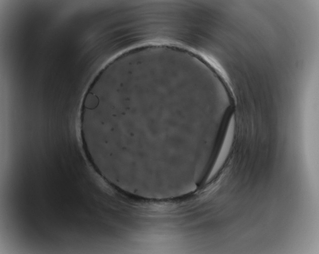 X0000090440895200707131217