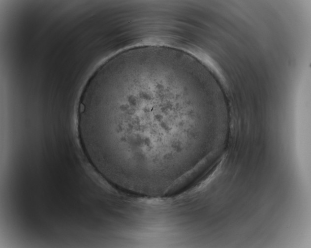 X0000090440896200707131217