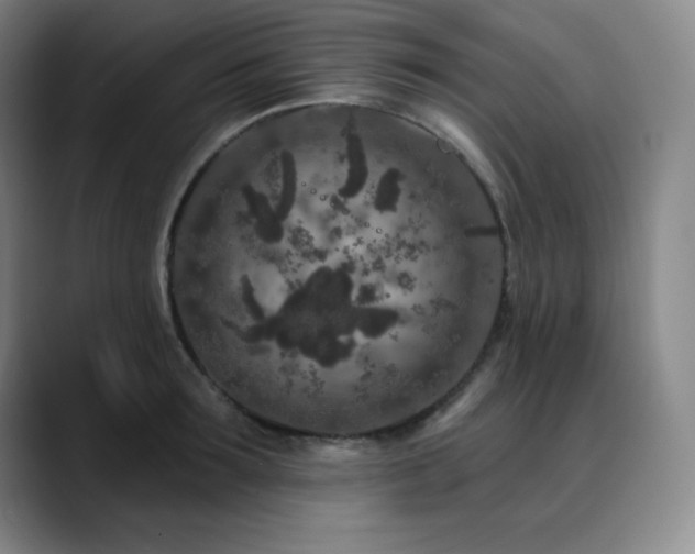 X0000090440899200707131217