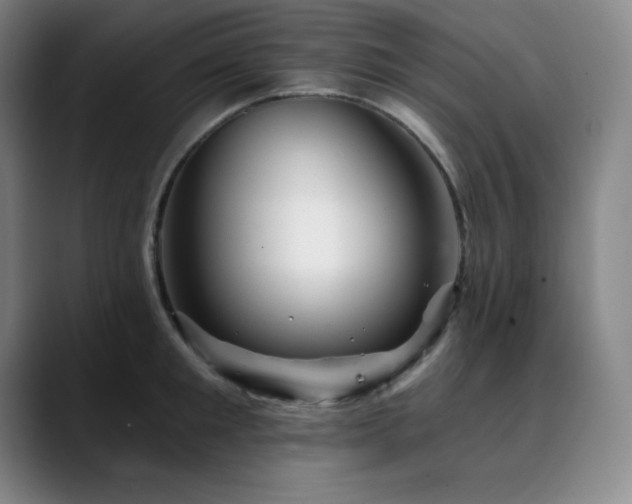 X0000090440901200707131217