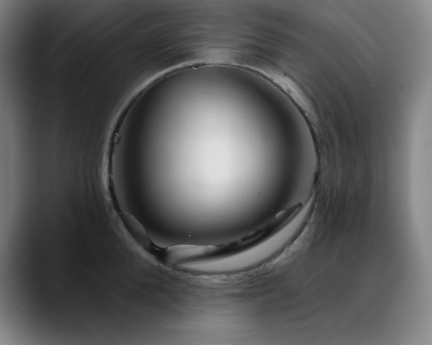 X0000090440904200707131217