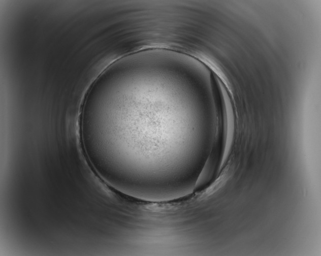X0000090440906200707131217