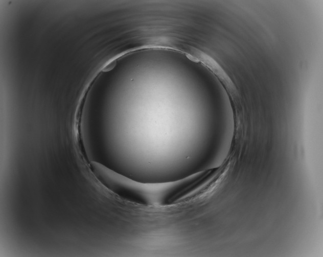 X0000090440908200707131217