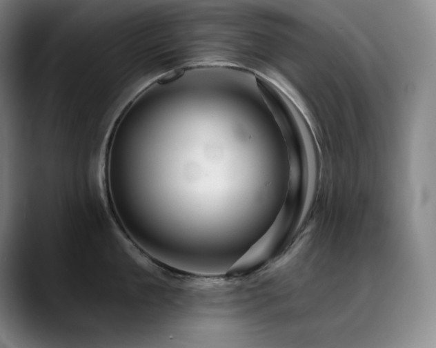 X0000090440909200707131217