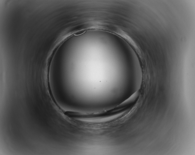 X0000090440910200707131217