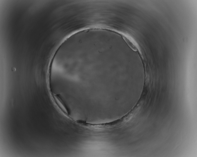 X0000090440911200707131217