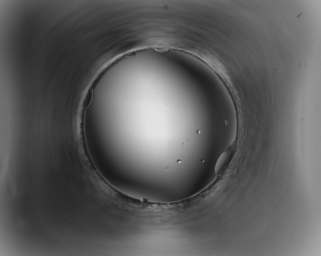 X0000090440912200707131217