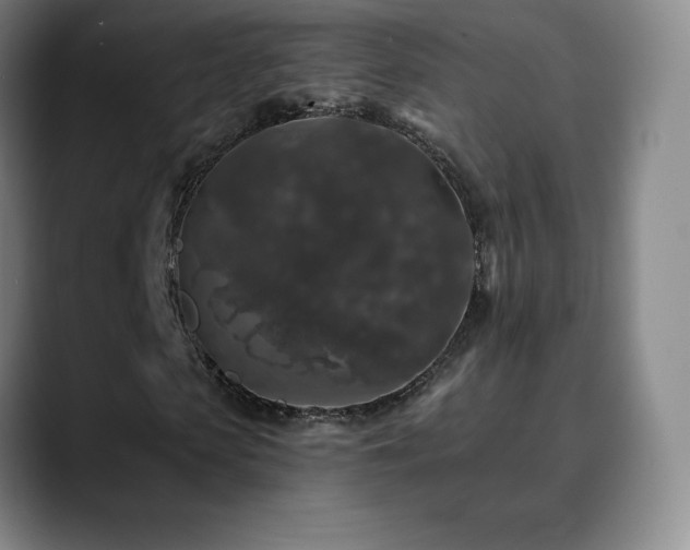 X0000090440913200707131217