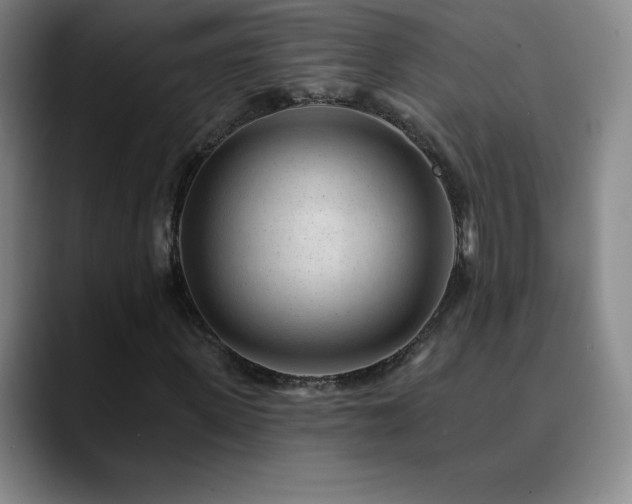 X0000090440915200707131217