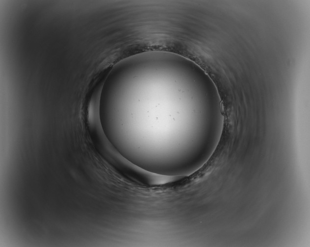 X0000090440916200707131217