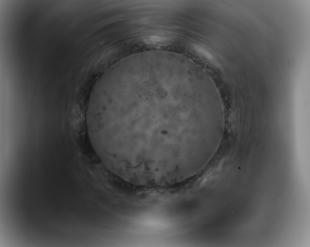 X0000090440917200707131217