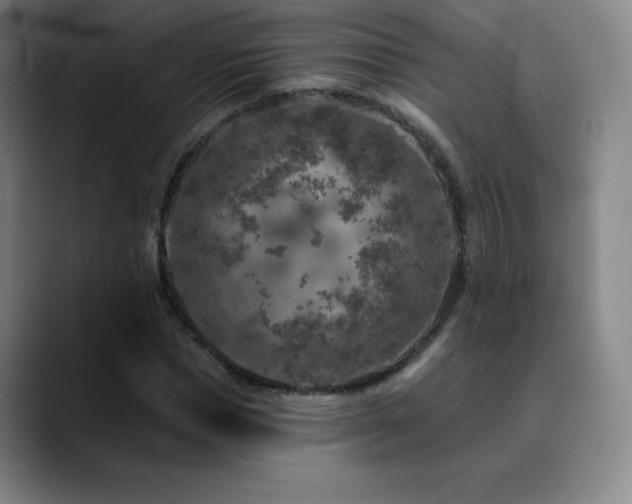 X0000090440921200707131217