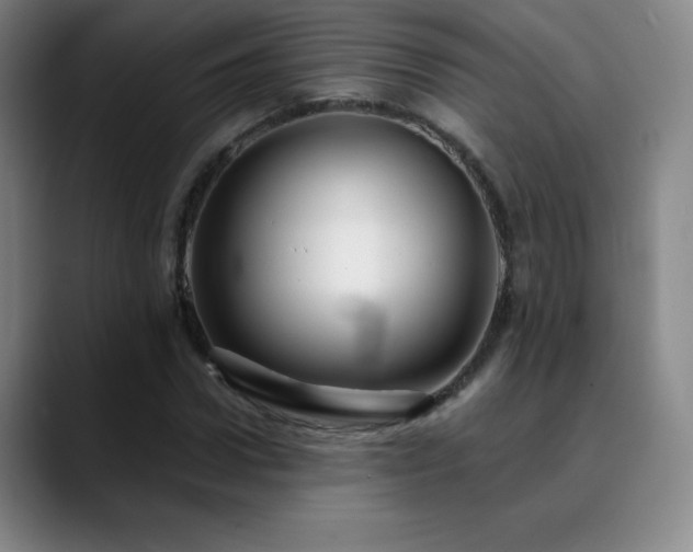 X0000090440922200707131217