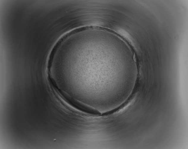 X0000090440924200707131217