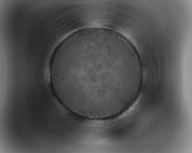 X0000090440925200707131217