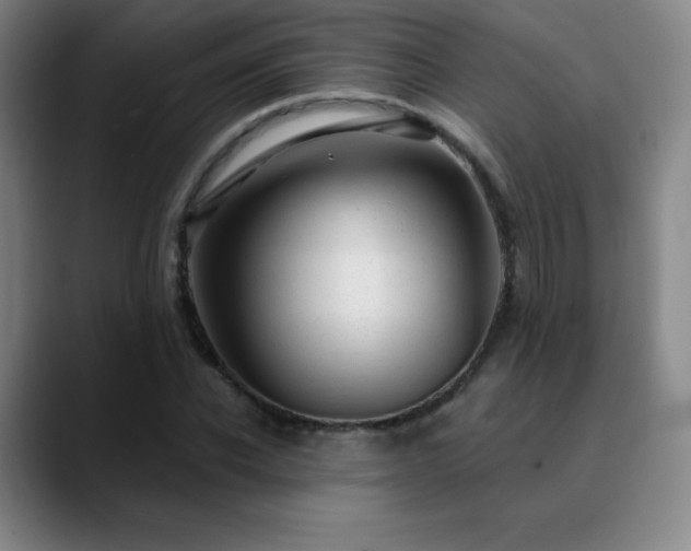 X0000090440926200707131217